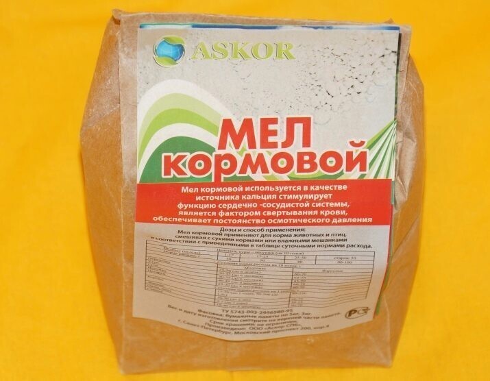 Что едят улитки и как их кормить в домашних условиях?