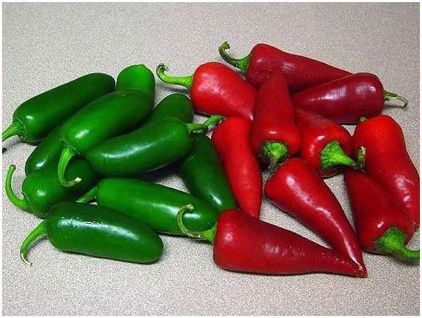 горький перец с чем можно посадить рядом