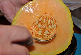 очистить дыню от семян и кожуры