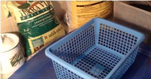 как сажать дыню на рассаду в домашних условиях