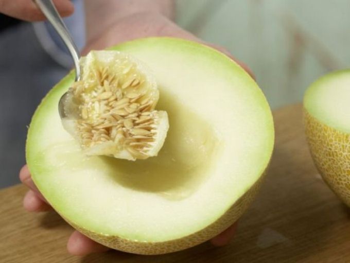 семена дыни как сажать