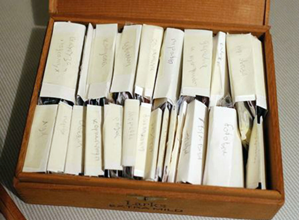 Пример консервации собранных семян