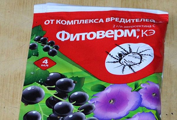 Фитоверм поможет бороться с болезнями дынь