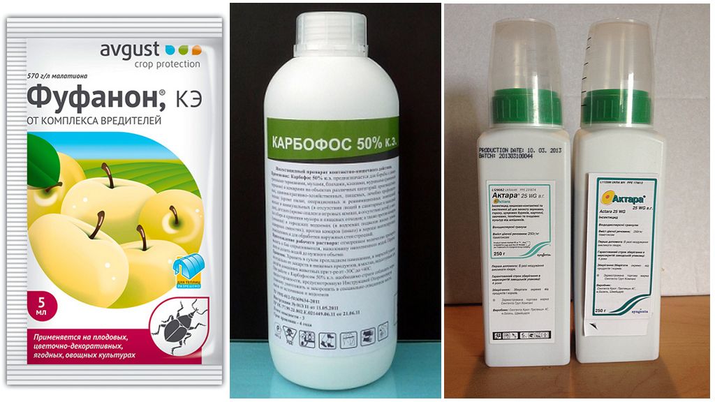 Лекарства от дынной мухи