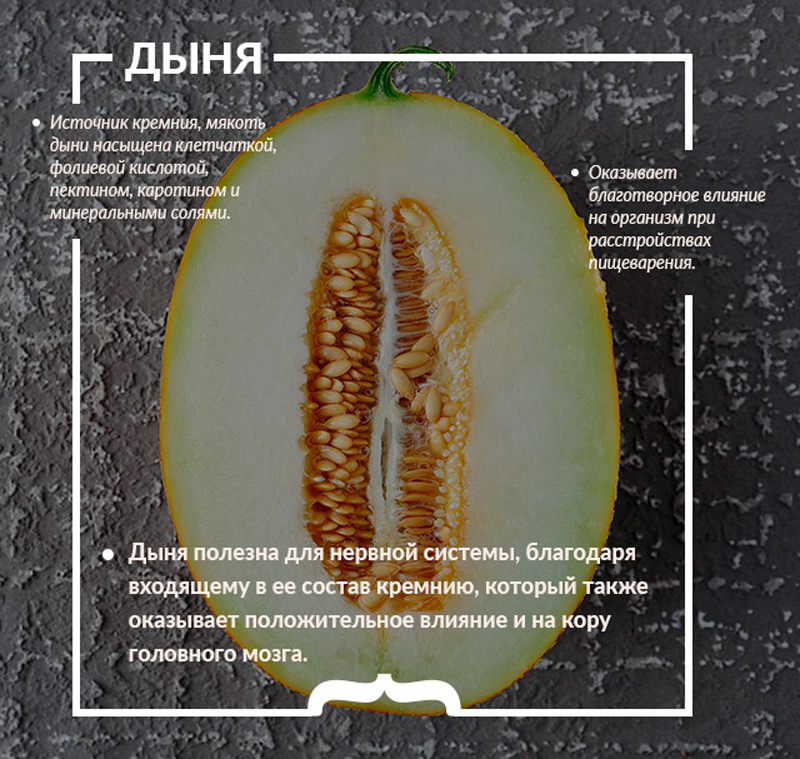Дыня