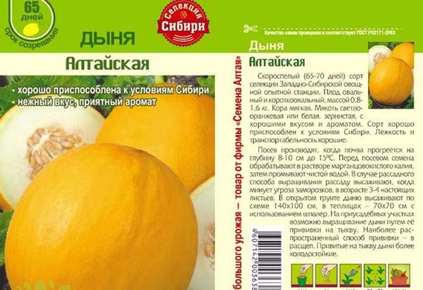 Посадка дынь в открытый грунт или в теплице: правила ухода и выращивания
