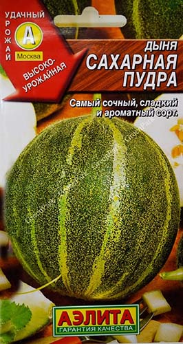Посадка дынь в открытый грунт или в теплице: правила ухода и выращивания
