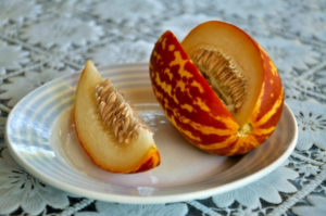 Вьетнамская дыня (молоко): отзывы, фото, урожай, правила выращивания