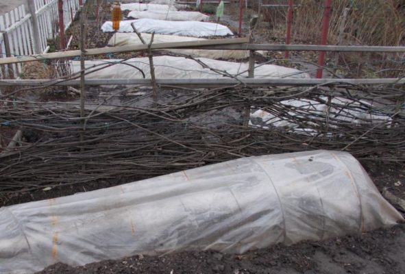 Укрытие на зиму