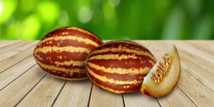 Разнообразие дынь с фото, названиями и описанием, оранжевые, желтые, очень сладкие, круглые, ранние