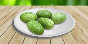 Разнообразие дынь с фото, названиями и описанием, оранжевые, желтые, очень сладкие, круглые, ранние
