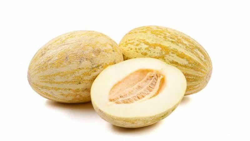 Вкусные и простые рецепты варенья из дыни и яблок