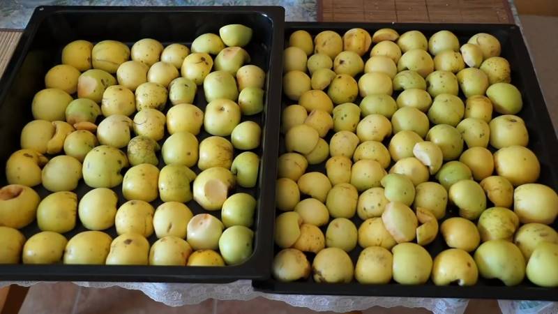 яблоки на противне