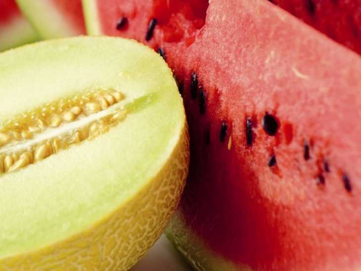 Дыня - это ягода или фрукт - 115 фото свойств и видео полезных свойств дыни