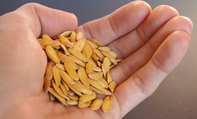 Семена дыни