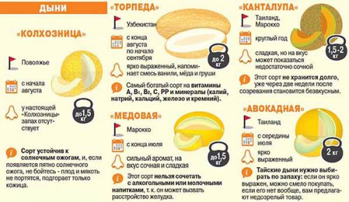 сорт дыни