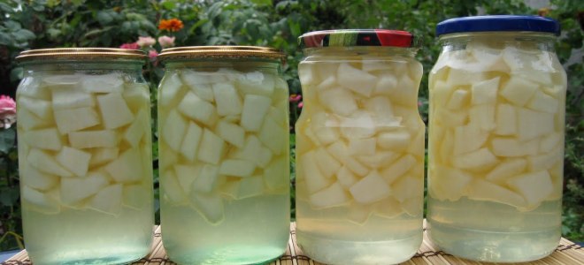 дыня как ананас