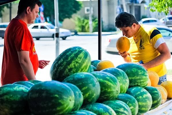 Тест на запах дыни