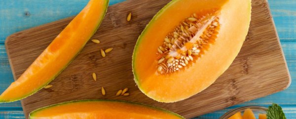 дынная диета