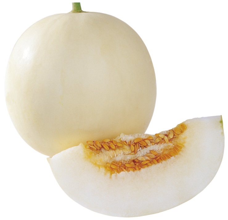 дынная медвяная роса