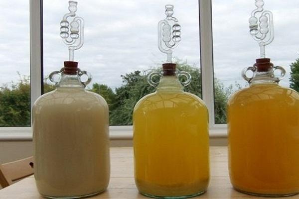 Дынное вино: 6 простых домашних рецептов