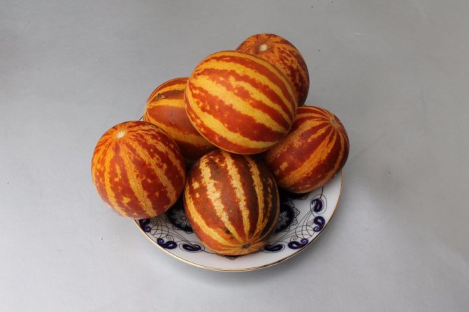 Ян Мелон Джун