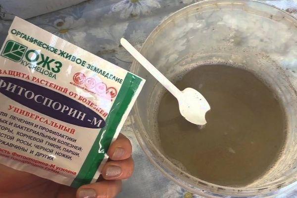 Фитоспориновые гранулы