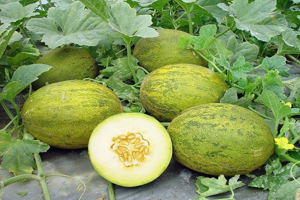 формирование кустов