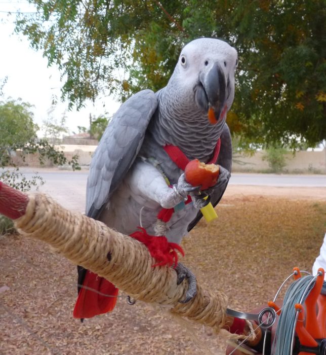 Фотография: `` shanlung