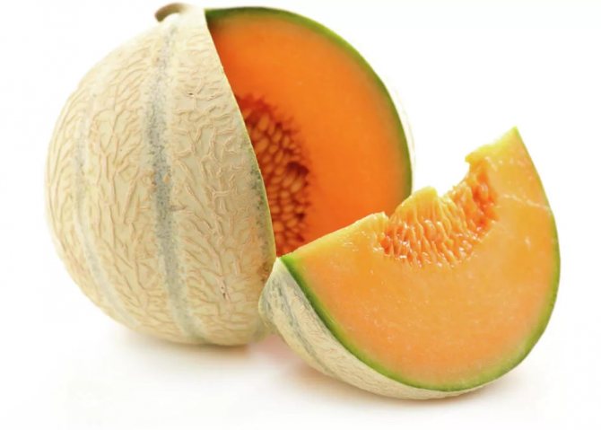 Мускусная дыня