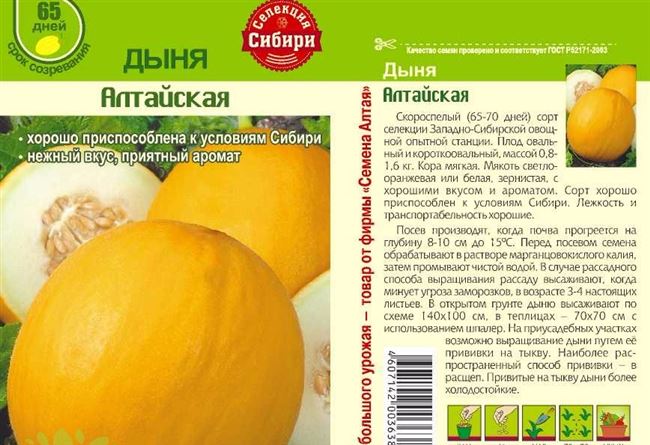Описание сорта алтайской дыни