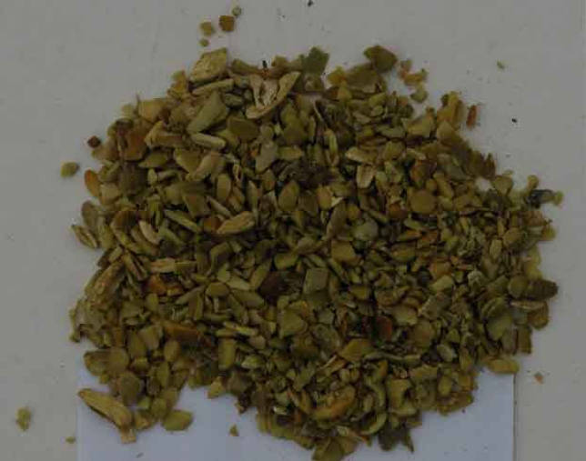 Почему кошка ест семена?