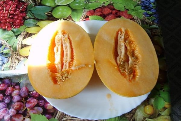 погодные условия