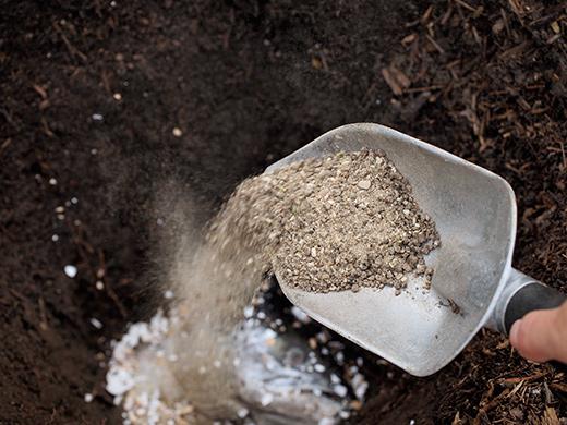 Удобрения для лунки