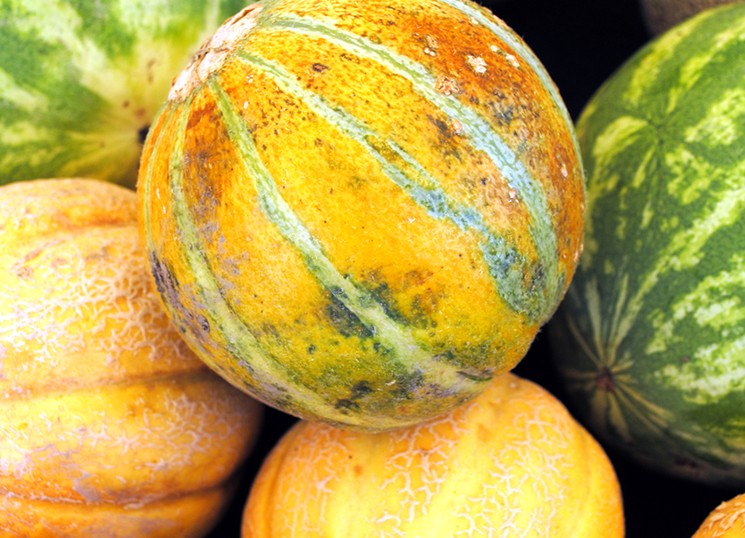 Дыня слишком мягкая - причины