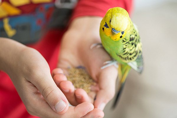 гофрированный