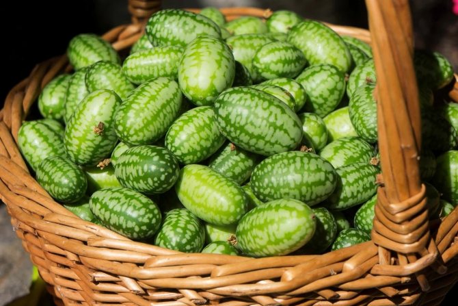 Выберите место на сайте