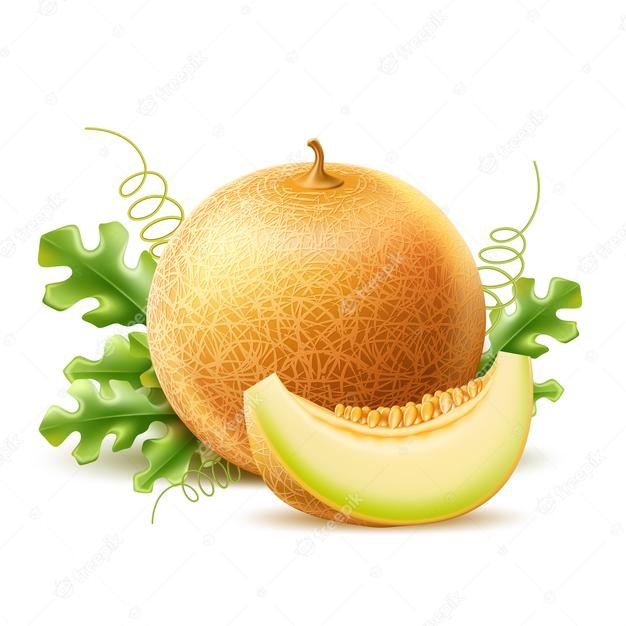 Блог про дыню